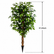 3.94‘ Realistic Ficus Banyan Tree with Natural Wood Trunk
