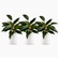 16.5" Realistic Touch Artificial Dieffenbachia Plant - Set of 3