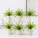Artificial Greenery Bushes 21 Leaves Plants Ferns - Set of 6