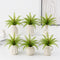 Artificial Greenery Bushes 21 Leaves Plants Ferns - Set of 6