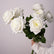 19" Real Texture Artificial Austin Roses Flowers - Set of 3