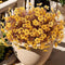 Autumn Faux Silk Daisy Flowers Halloween - Set of 12 #color_yellow