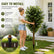 3.94‘ Realistic Ficus Banyan Tree with Natural Wood Trunk