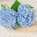 21” Realistic Touch Hydrangea Flowers for Indoor Outdoor - Set of 3