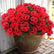 13" Red Artificial Geranium Silk Flowers - Set of 6