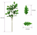 37In Realistic Artificial Oak Leaf Stems-Set of 3