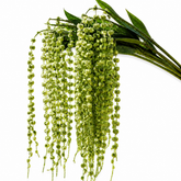 39" Faux Pea Pod Vines Artificial String of Pearls Hanging Plants - Set of 6
