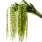 39" Faux Pea Pod Vines Artificial String of Pearls Hanging Plants - Set of 6