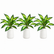 16.5" Realistic Touch Artificial Dieffenbachia Plant - Set of 3