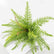 Artificial Greenery Bushes 21 Leaves Plants Ferns - Set of 6