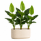 Faux Tropical Plants Greenery for Home Decor - Set of 3