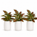 16.5" Realistic Touch Artificial Dieffenbachia Plant - Set of 3