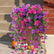 Artificial UV Resistant Hanging Morning Glory Flowers - Set of 5