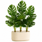 Faux Tropical Plants Greenery for Home Decor - Set of 3