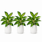 16.5" Realistic Touch Artificial Dieffenbachia Plant - Set of 3