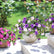 Artificial Petunia Faux Flowers UV for Outdoor Indoor - 2 Pcs #color_Purple