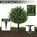 24" Artificial Cypress Topiary UV Resistant for Outdoor Indoor