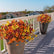 Autumn Faux Silk Daisy Flowers Halloween - Set of 12 #color_3-Color Mix