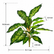 16.5" Realistic Touch Artificial Dieffenbachia Plant - Set of 3