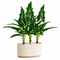 Faux Tropical Plants Greenery for Home Decor - Set of 3