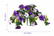 Artificial Petunia Faux Flowers UV for Outdoor Indoor - Set of 2