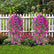 Artificial UV Resistant Hanging Morning Glory Flowers - Set of 5