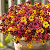 Autumn Faux Silk Daisy Flowers Halloween - Set of 12 #color_3-Color Mix