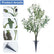 Artificial Olive Tree Plant with Integrated Ground Stake for Indoor Outdoor #color_Dark Olive