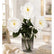 19" Real Texture Artificial Austin Roses Flowers - Set of 3
