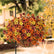 Autumn Faux Silk Daisy Flowers Halloween - Set of 12 #color_3-Color Mix