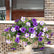 Artificial Petunia Faux Flowers UV for Outdoor Indoor - 2 Pcs #color_Purple