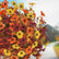 Fall Artificial Flower Stake Outdoor Mum Decor #color_Mixed colors