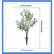 Artificial Olive Tree Plant with Integrated Ground Stake for Indoor Outdoor #color_Dark Olive