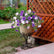 Artificial Petunia Faux Flowers UV for Outdoor Indoor - 2 Pcs #color_Purple