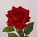 28.7" Realistic Touch Roses Flowers - Set of 3