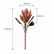 23In Artificial King Protea Flowers Faux Silk Flowers with Realistic Texture-Set of 3