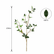 28” Realistic Touch Faux Elm Leaf Branches Ficus Greenery Stems - Set of 6