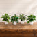 7In Realistic Artificial Green Plants Potted Plants for Indoor Home Decoration-Set of 4