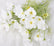 24“ Faux Cosmos Flowers Silk Flower Stems - Set of 6