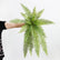 29" Artificial Hanging Boston Fern Stems Faux Persian Fern - Set of 3