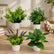 7In Realistic Artificial Green Plants Potted Plants for Indoor Home Decoration-Set of 4