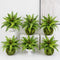 Artificial Greenery Bushes 21 Leaves Plants Ferns - Set of 6