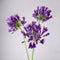 30” Artificial Agapanthus Flowers Lily of the Nile - Set of 3