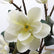 39In Realistic Artificial Magnolia Flower Stems for Wedding Floral D¨¦cor-Set of 3