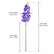 42In Artificial Phalaenopsis Orchid Flowers Long Realistic Latex-Set of 3
