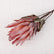 23In Artificial King Protea Flowers Faux Silk Flowers with Realistic Texture-Set of 3