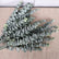 21In Realistic Touch Artificial Eucalyptus Branches for Vase Arrangements Home Decor-Set of 12