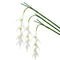 Artificial Bird of Paradise Flowers Heliconia Flamingo Flower Arrangement-Set of 3