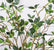 28” Realistic Touch Faux Elm Leaf Branches Ficus Greenery Stems - Set of 6
