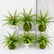 Artificial Greenery Bushes 21 Leaves Plants Ferns - Set of 6